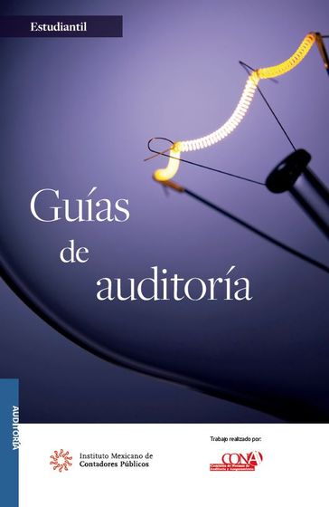 Guías de Auditoría - Comisión de Normas de Auditoría y Aseguramiento (CONA)