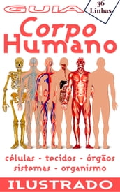 Guia 36 - Corpo Humano