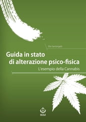 Guida in stato di alterazione psico-fisica