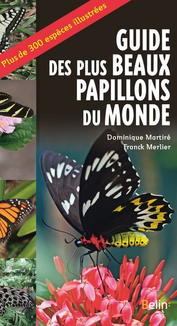 Guide des plus beaux papillons du monde - Guillaume Eyssartier - Dominique Martiré - Franck Merlier