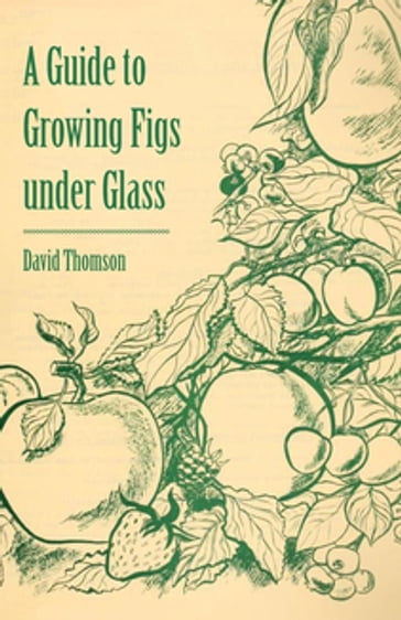 A Guide to Growing Figs Under Glass - David Thomson