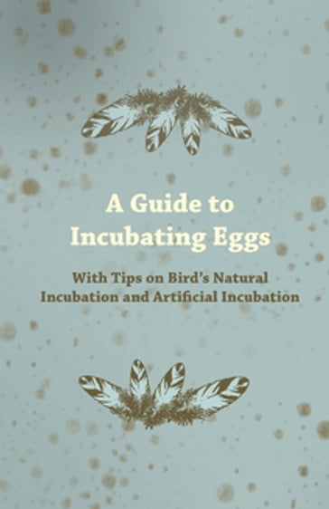 A Guide to Incubating Eggs - With Tips on Bird's Natural Incubation and Artificial Incubation - ANON