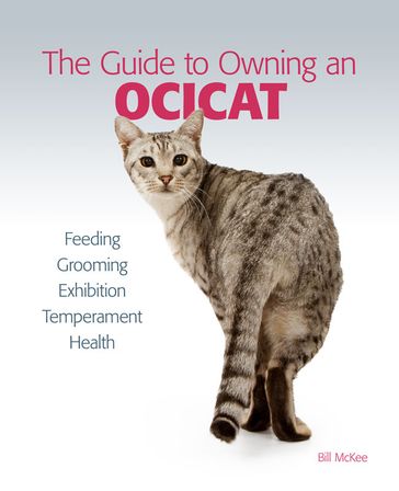 Guide to Owning an Ocicat - Bill McKee