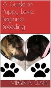 A Guide to Puppy Love: Beginner Breeding