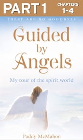 Guided By Angels: Part 1 of 3: There Are No Goodbyes, My Tour of the Spirit World