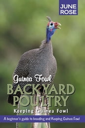 Guinea Fowl, Backyard Poultry