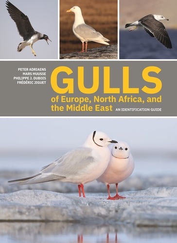 Gulls of Europe, North Africa, and the Middle East - Peter Adriaens - Mars Muusse - Philippe J. Dubois - Frédéric Jiguet