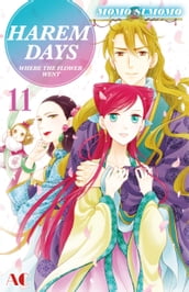 HAREM DAYS THE SEVEN-STARRED COUNTRY