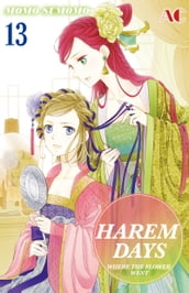 HAREM DAYS THE SEVEN-STARRED COUNTRY