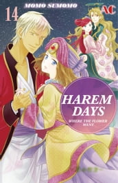HAREM DAYS THE SEVEN-STARRED COUNTRY
