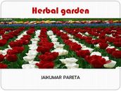 HERBAL GARDEN