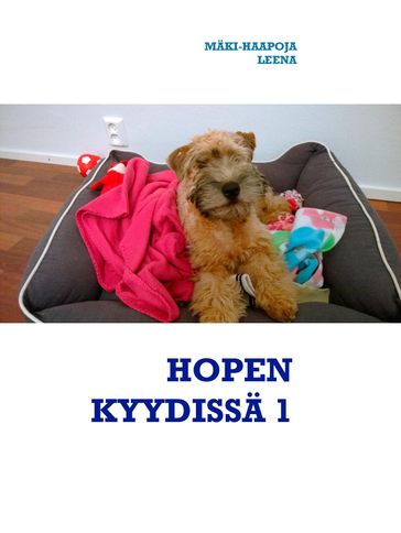 HOPEN KYYDISSÄ 1 - Leena Maki-Haapoja