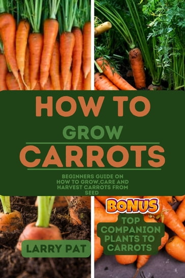 HOW TO GROW CARROTS - Larry Pat