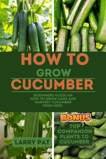 HOW TO GROW CUCUMBER - Larry Pat