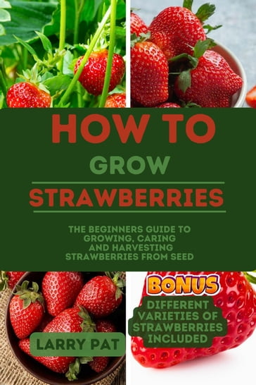 HOW TO GROW STRAWBERRIES - Larry Pat
