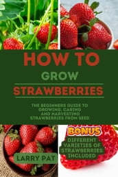 HOW TO GROW STRAWBERRIES