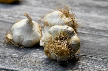 HOW TO MAKE GARLIC POWDER - NITESH ULHAS SAIL