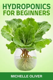 HYDROPONICS FOR BEGINNERS