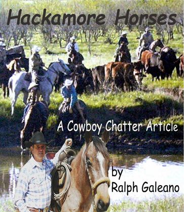 Hackamore Horses A Cowboy Chatter Article - Ralph Galeano