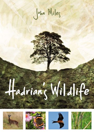 Hadrian's Wildlife - John Miles