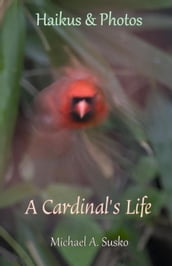 Haikus and Photos: A Cardinal s Life