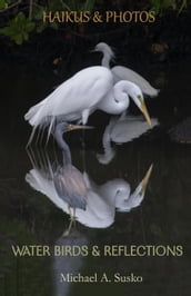 Haikus and Photos: Water Birds and Reflections
