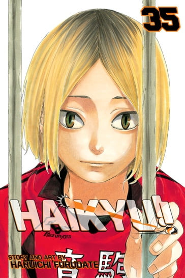 Haikyu!!, Vol. 35 - Haruichi Furudate