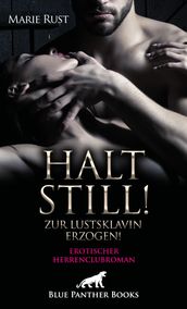 Halt still! Zur Lustsklavin erzogen! Erotischer Herrenclubroman