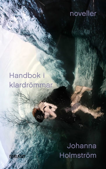 Handbok i klardrömmar - Johanna Holmstrom