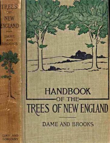 Handbook Of The Trees of New England - Brooks Henry M. - Dame Lorin Low