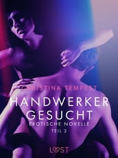 Handwerker gesucht - Teil 2: Erotische Novelle