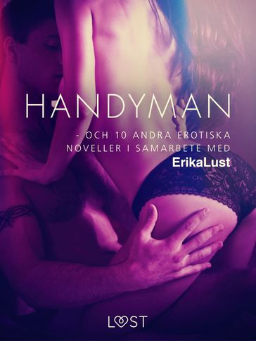 Handyman - och 10 andra erotiska noveller i samarbete med Erika Lust - Forfattere Diverse