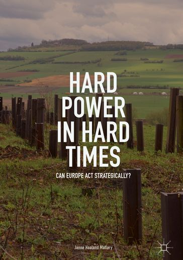 Hard Power in Hard Times - Janne Haaland Matlary