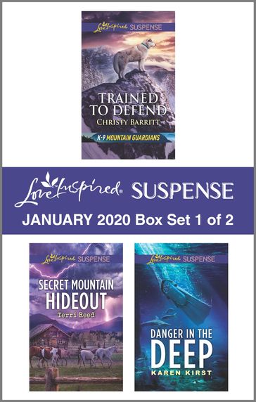Harlequin Love Inspired Suspense January 2020 - Box Set 1 of 2 - Christy Barritt - Karen Kirst - Terri Reed