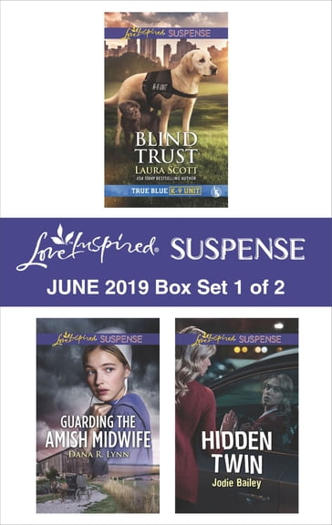 Harlequin Love Inspired Suspense June 2019 - Box Set 1 of 2 - Dana R. Lynn - Jodie Bailey - Laura Scott