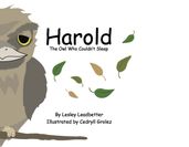 Harold: The Owl Who Couldn t Sleep