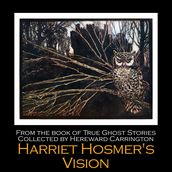 Harriet Hosmer s Vision