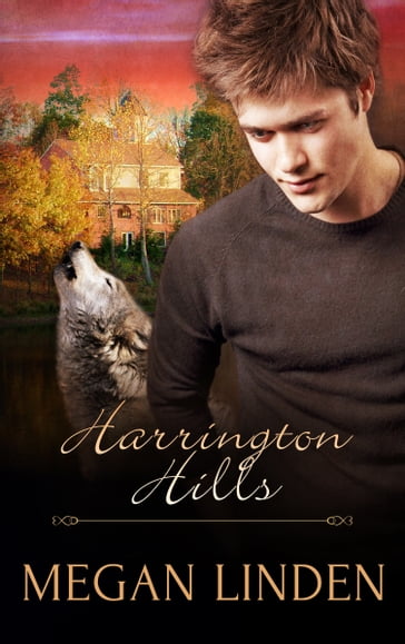 Harrington Hills: Part One: A Box Set - Megan Linden