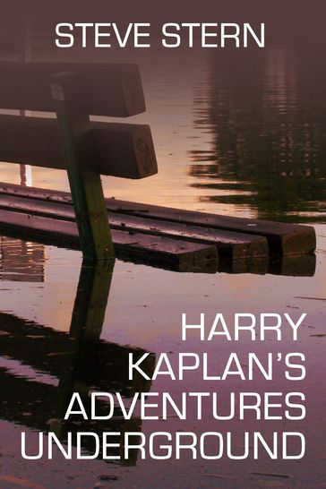 Harry Kaplan's Adventures Underground - Steve Stern