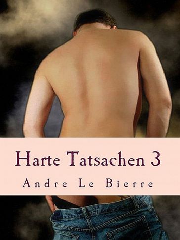 Harte Tatsachen 3 - Andre Le Bierre