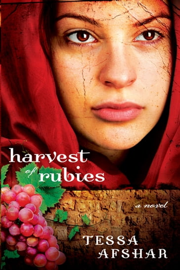 Harvest of Rubies - Tessa Afshar