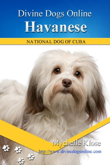 Havanese - Mychelle Klose