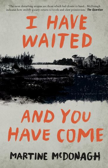 I Have Waited, and You Have Come - Martine McDonagh