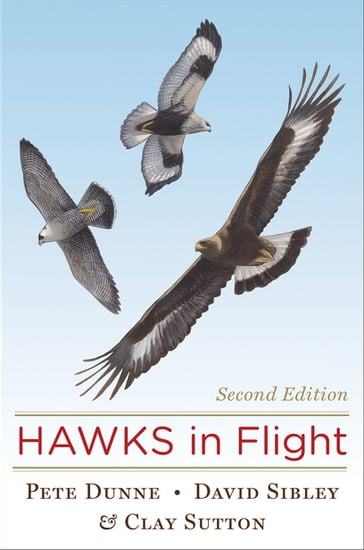 Hawks In Flight - Pete Dunne - Clay Sutton - David Sibley