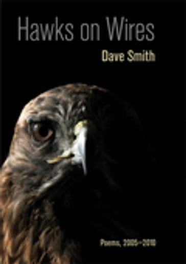 Hawks on Wires - Dave Smith