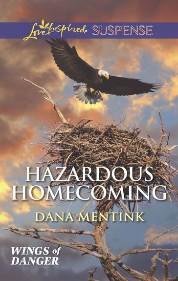 Hazardous Homecoming - Dana Mentink