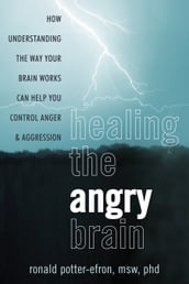 Healing the Angry Brain