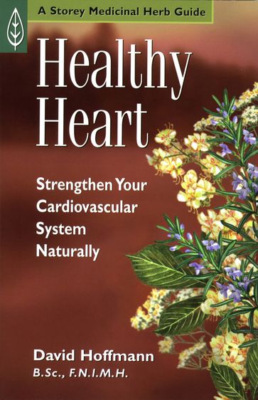 Healthy Heart - David Hoffmann