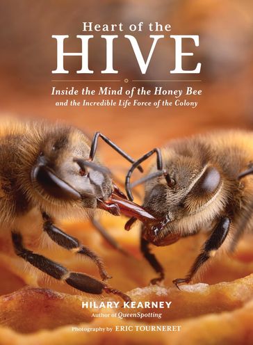 Heart of the Hive - Hilary Kearney