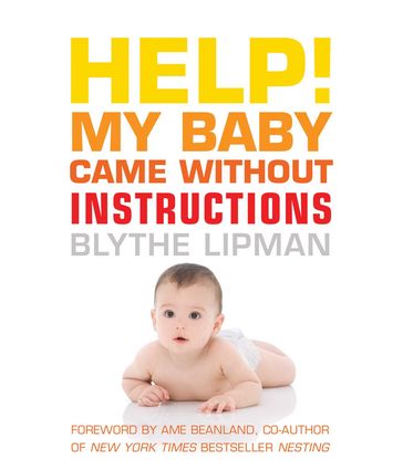 Help! My Baby Came Without Instructions - Blythe Lipman